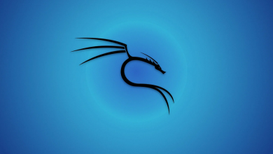 Install Kali Linux On Windows