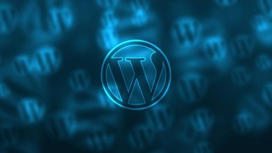 SEO WordPress Plugins