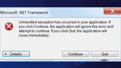 Unhandled Exception Has Occurred In Your Application